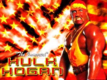 HBK VS HULK HOGAN A SUMMERSLAM LEGEND